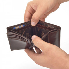 Pánská kožená peněženka Cosset 4501 Komodo H hnědá č.8